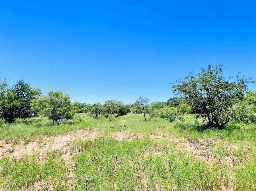 Vacant Land For Sale - 1349 County Road 152<br/> Brown County, Brownwood, TX 76801