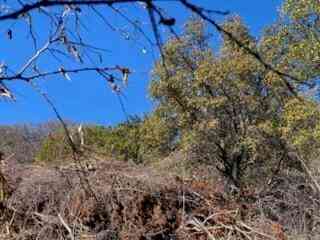 Vacant Land For Sale - Cr 1176<br/> Coleman County, Santa Anna, TX 76878