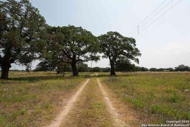 Vacant Land For Sale - 1003 County Road 334<br/> Wilson County, Stockdale, TX 78160
