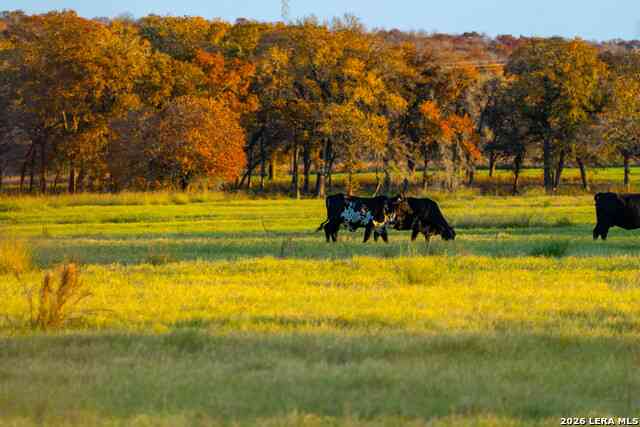 Vacant Land For Sale - TBD S State Hwy 123<br/> Seguin, TX 78155