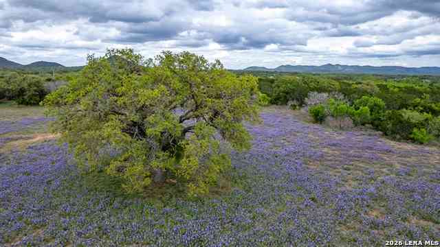 Vacant Land For Sale - 2229 County Road 390<br/> Camp Wood, TX 78833