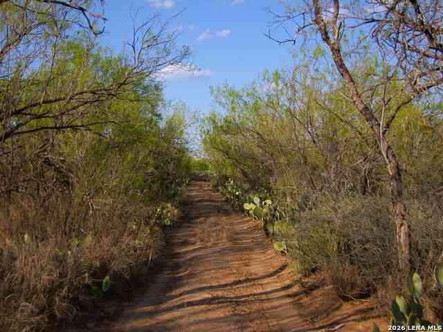 Vacant Land For Sale - TBD Fm 186<br/> Dimmit County, Carrizo Springs, TX 78834