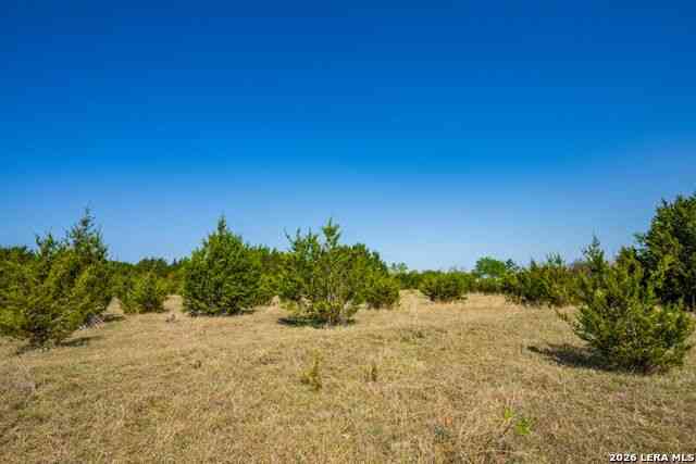 Vacant Land For Sale - Farm To Market 1241<br/> Purmela, TX 76566