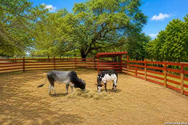 Vacant Land For Sale - 1169 Old Adams Ln<br/> Pleasanton, TX 78064