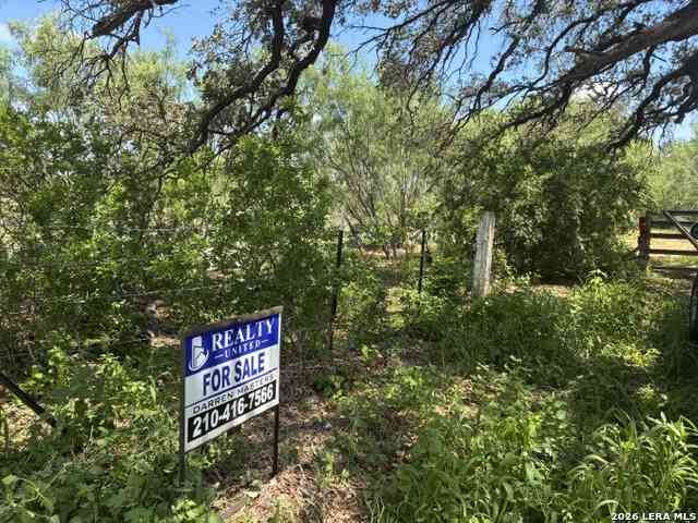 Vacant Land For Sale - 920 County Road 665<br/> Devine, TX 78016