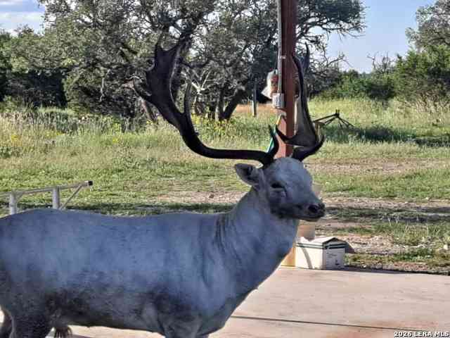 Vacant Land For Sale - 2724 Sd 24910<br/> Rocksprings, TX 78880