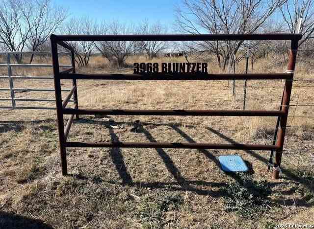 Vacant Land For Sale - 3968 Bluntzer Rd<br/> Jourdanton, TX 78026