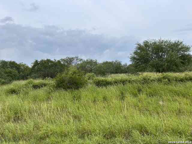 Vacant Land For Sale - Farm To Market Rd 3249<br/> Realitos, TX 78376