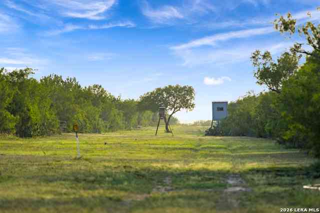 Vacant Land For Sale - TBD Cr 401<br/> Freer, TX 78357