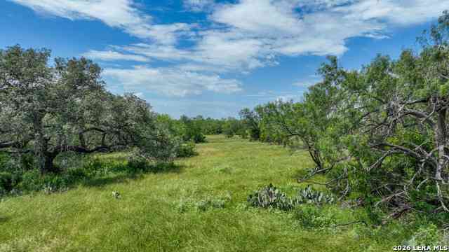 Vacant Land For Sale - 2880 Cr 307<br/> Jourdanton, TX 78026