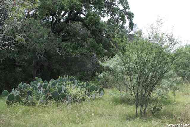 Vacant Land For Sale - TBD Fm 3353<br/> Guadalupe County, Seguin, TX 78155