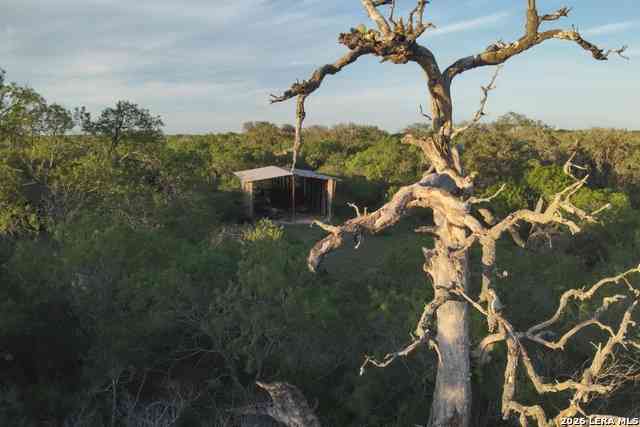 Vacant Land For Sale - 1305 Fm 799<br/> Live Oak County, George West, TX 78022