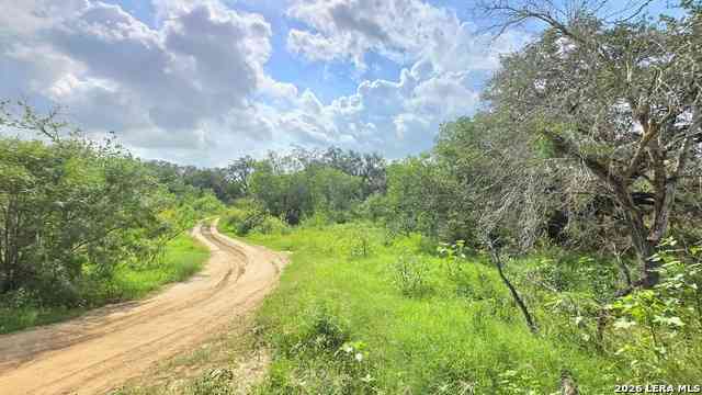 Vacant Land For Sale - 289 Zigmond Rd<br/> Atascosa County, Poteet, TX 78065