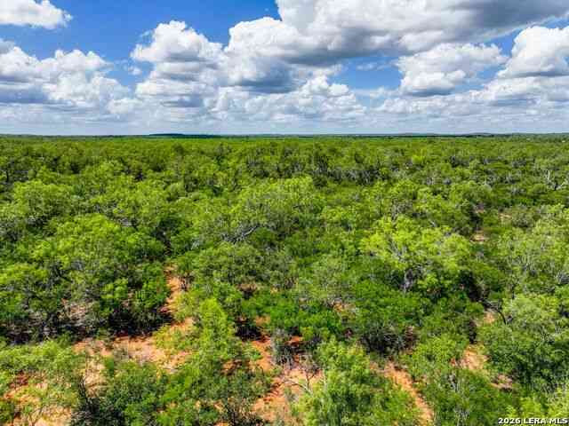 Vacant Land For Sale - CR 732 Cr732<br/> Yancey, TX 78886