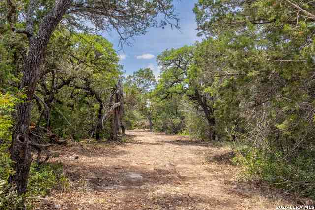Vacant Land For Sale - Cherry Creek Road<br/> Hunt, TX 78024