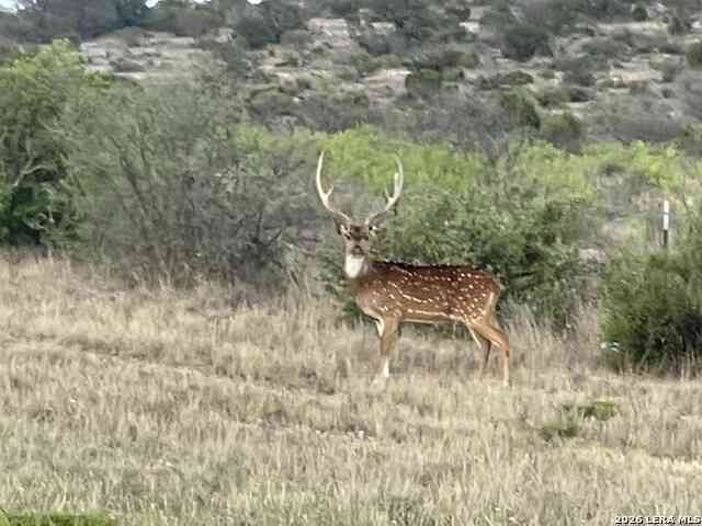 Vacant Land For Sale - 21 N High Lonesome Ranch<br/> Comstock, TX 78837