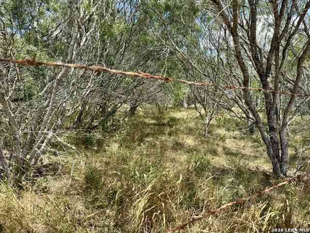 Vacant Land For Sale - Fm 2102<br/> Karnes County, Kenedy, TX 78119