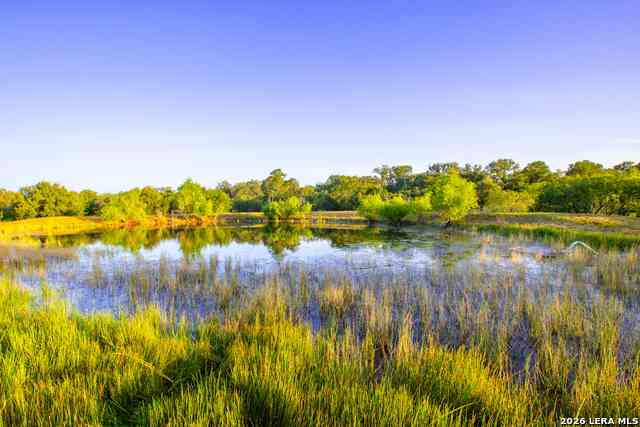 Vacant Land For Sale - 9549 County Road 277<br/> Karnes County, Gillett, TX 78116