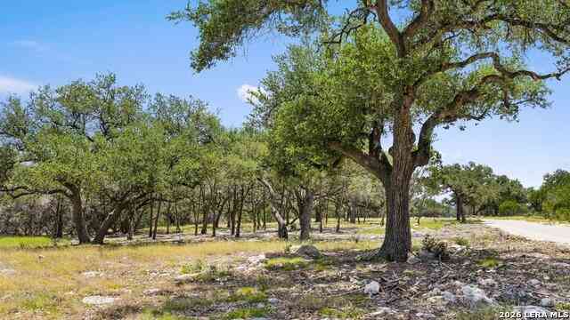 Vacant Land For Sale - TRACT 5 Cypress Cove<br/> Spring Branch, TX 78070