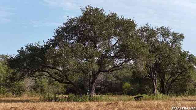 Vacant Land For Sale - 251 Old Goliad<br/> Refugio, TX 78377