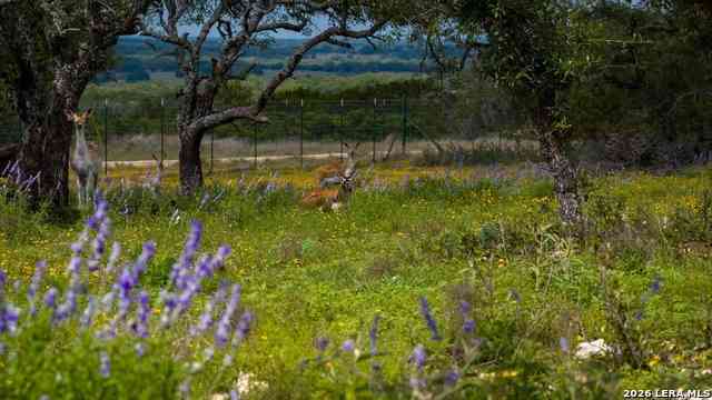 Vacant Land For Sale - TBD El Rincon<br/> Mountain Home, TX 78058