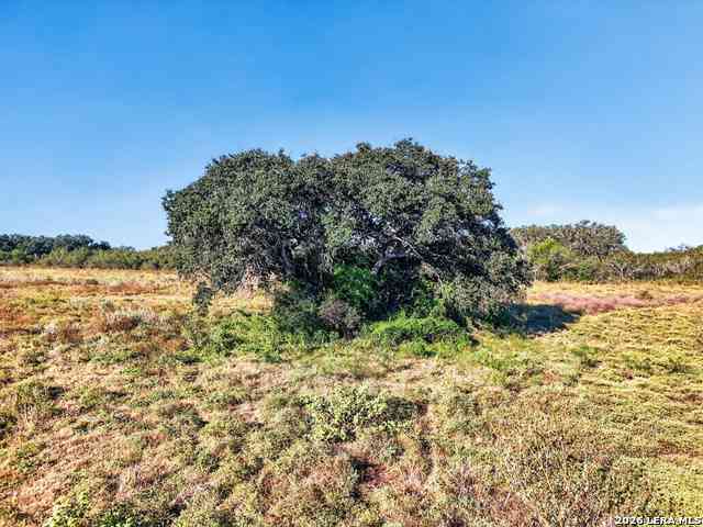 Vacant Land For Sale - LOT 134 Fm 1796<br/> Dhanis, TX 78850