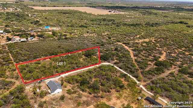 Vacant Land For Sale - Fm 1343 Lot 1<br/> Devine, TX 78016