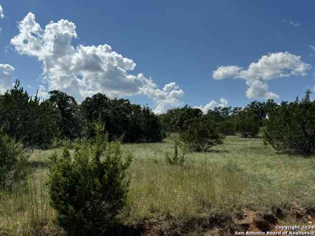 Vacant Land For Sale - 114 Peter Kleid Loop<br/> Blanco, TX 78606