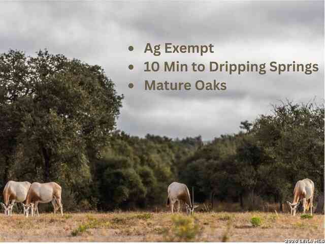 Vacant Land For Sale - LOT 1 Legacy Hills<br/> Johnson City, TX 78636