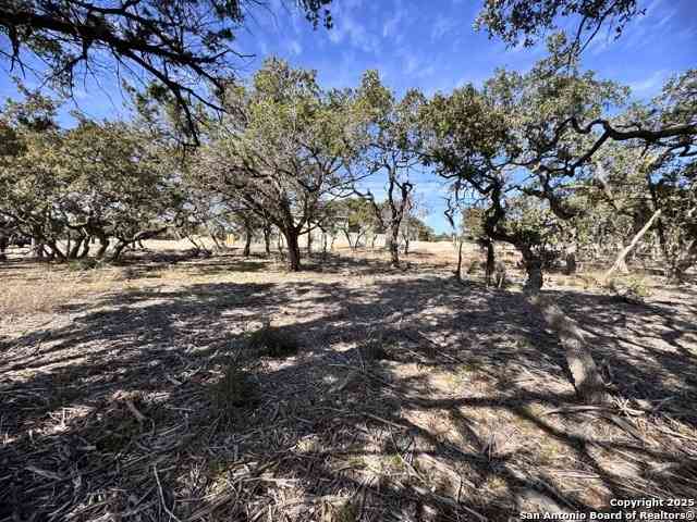 Vacant Land For Sale - 34706 Deeanne Valley<br/> Comal County, Bulverde, TX 78163