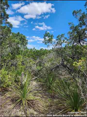Vacant Land For Sale - 268 Scenic Hills<br/> Canyon Lake, TX 78133