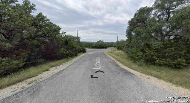 Vacant Land For Sale - 191 Lobo Look<br/> Spring Branch, TX 78070
