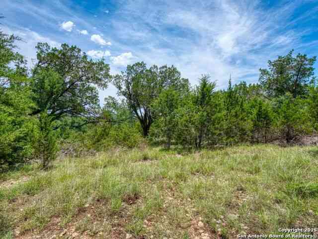 Vacant Land For Sale - 114 Oyster<br/> Canyon Lake, TX 78133