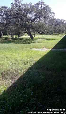 Vacant Land For Sale - 277 Nob<br/> Wilson County, Floresville, TX 78114
