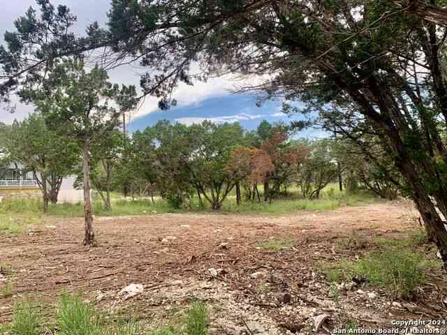 Vacant Land For Sale - 807 Stagecoach<br/> Spring Branch, TX 78070