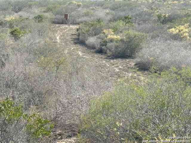 Other For Sale - TR102 Frontier A Rd<br/> Freer, TX 78357