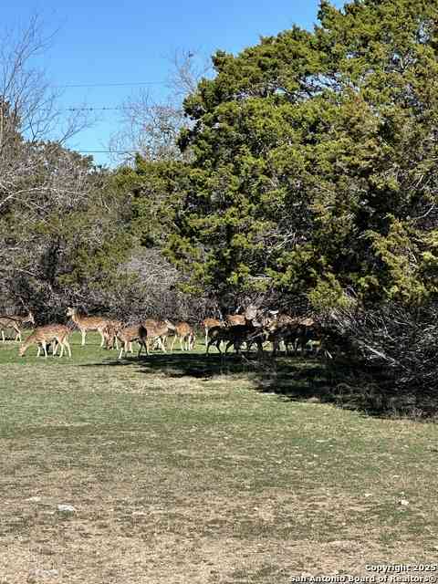 Vacant Land For Sale - Deerwood Circle<br/> Bandera, TX 78003