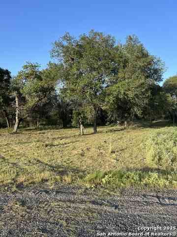 Vacant Land For Sale - 108 Timber<br/> Wilson County, La Vernia, TX 78121