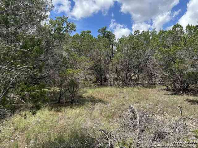 Vacant Land For Sale - 7131 Rebecca Creek<br/> Spring Branch, TX 78070
