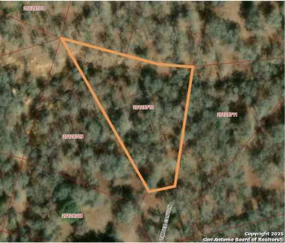 Vacant Land For Sale - 113 Timber Canyon<br/> Wilson County, La Vernia, TX 78121