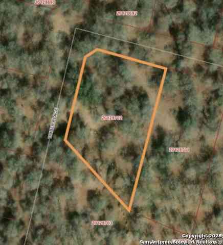 Vacant Land For Sale - 216 Timber Place<br/> Wilson County, La Vernia, TX 78121