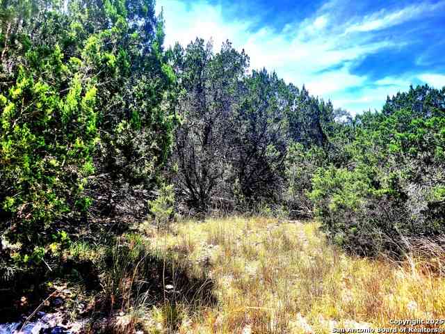 Vacant Land For Sale - 1680 Stallion Springs Dr<br/> Fischer, TX 78623