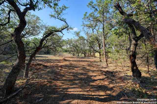 Vacant Land For Sale - TRACT 1 Pierson Road<br/> Blanco, TX 78606
