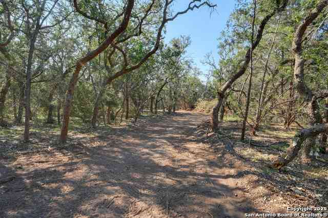 Vacant Land For Sale - TRACT 3 Pierson Road<br/> Blanco, TX 78606