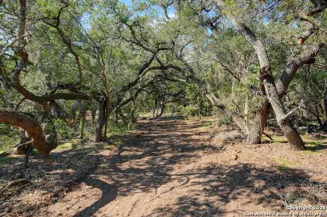 Vacant Land For Sale - TRACT 4 Pierson Road<br/> Blanco, TX 78606