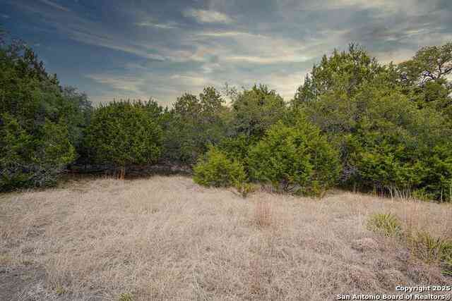 Vacant Land For Sale - 1055 Cielo Springs Dr.<br/> Blanco, TX 78606
