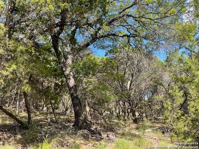 Vacant Land For Sale - LOTS 1-7 Park Road 37<br/> Lakehills, TX 78063