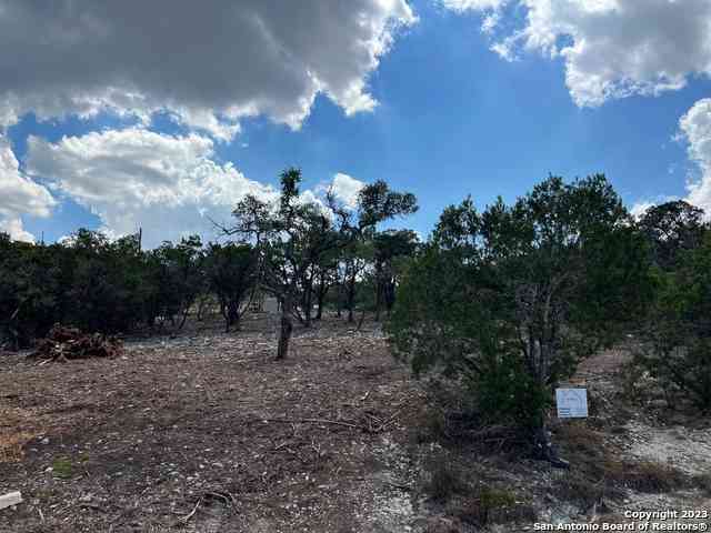 Vacant Land For Sale - 320 Lexington Pass<br/> Canyon Lake, TX 78133