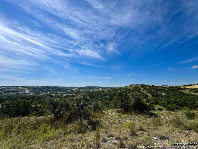Vacant Land For Sale - LOT 90 Big Sky Ct<br/> Blanco, TX 78606