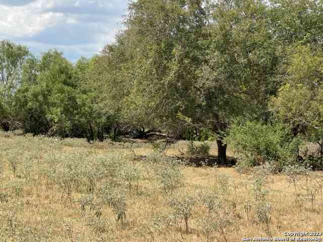 Vacant Land For Sale - 1039 County Road 232<br/> Wilson County, Floresville, TX 78114